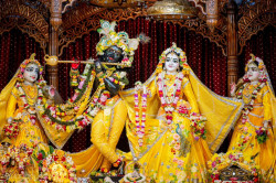 Daily Darshan