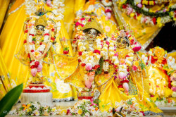 Daily Darshan