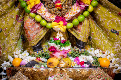 Daily Darshan