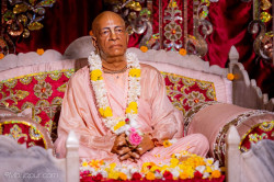 Daily Darshan