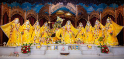 Daily Darshan