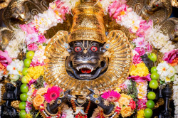 Daily Darshan