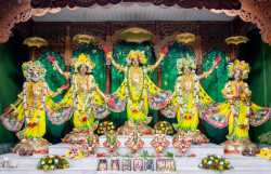 Daily Darshan