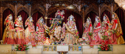 Daily Darshan