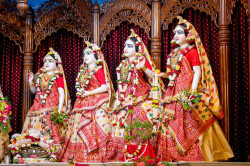 Daily Darshan