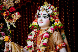 Daily Darshan
