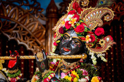 Daily Darshan