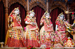 Daily Darshan