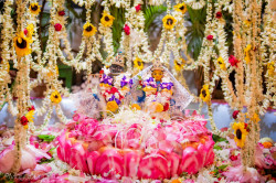 Daily Darshan