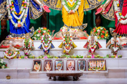 Daily Darshan