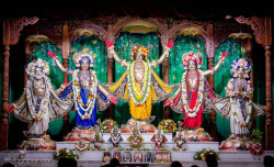 Daily Darshan