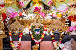 Daily Darshan