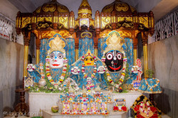 Daily Darshan