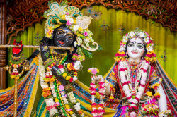 Daily Darshan