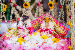 Daily Darshan