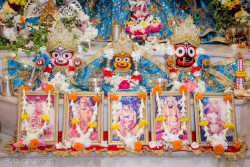 Daily Darshan
