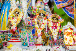 Daily Darshan