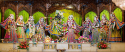 Daily Darshan