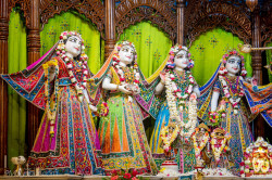 Daily Darshan