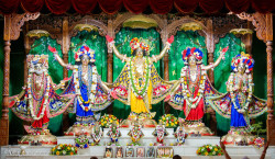 Daily Darshan