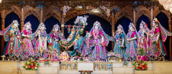 Daily Darshan