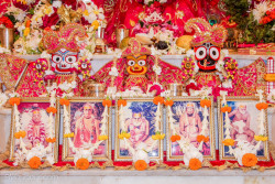 Daily Darshan
