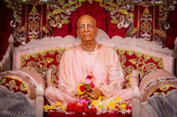 Daily Darshan