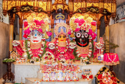 Daily Darshan
