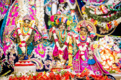 Daily Darshan