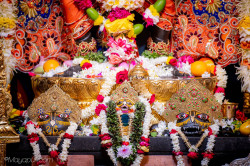 Daily Darshan