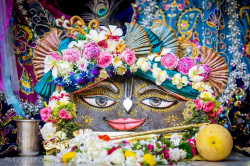 Daily Darshan