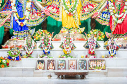 Daily Darshan