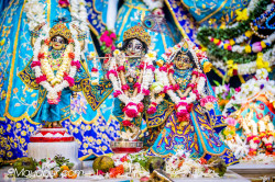Daily Darshan