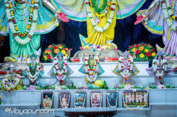 Daily Darshan