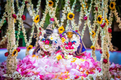 Daily Darshan
