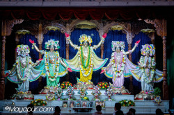 Daily Darshan