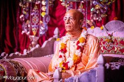 Daily Darshan