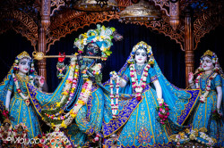 Daily Darshan