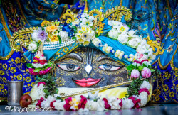 Daily Darshan