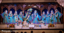 Daily Darshan