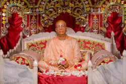 Daily Darshan
