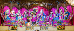 Daily Darshan