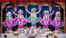 Daily Darshan