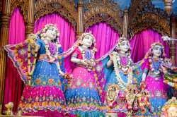 Daily Darshan