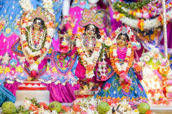 Daily Darshan