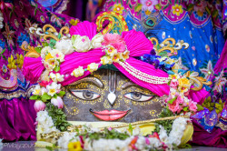 Daily Darshan