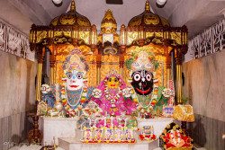 Daily Darshan