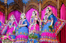 Daily Darshan