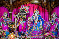 Daily Darshan