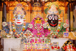 Daily Darshan